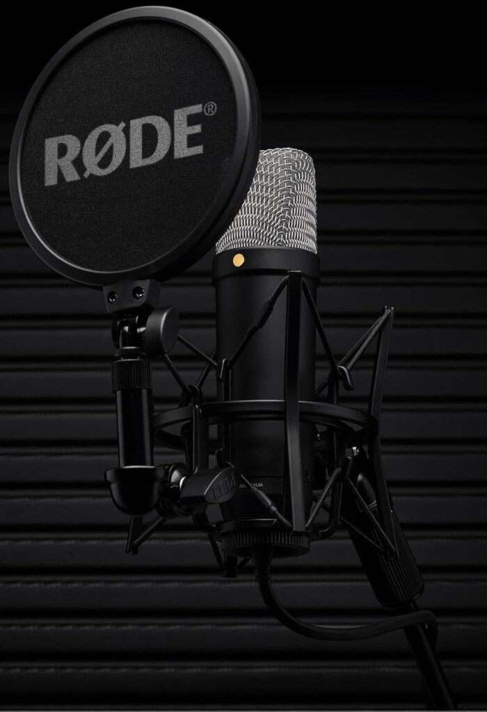 RØDE NT1 (5th Generation)